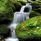 Psicologos Sur