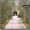 Finca nahe Arta