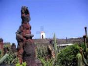 Foto Kanaren | Lanzarote