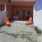 Ganz in Strandn�he