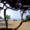 Ferie leilighet La Caba�a VII Canyamel