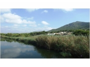 Foto Canyamel | Torrent von Canyamel