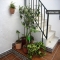 Ferienwohnung Guzman