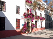 Bilde Vandrerhjem | Hostal El Castillo