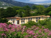 Foto Hotels | Hotel Halcon Palace