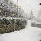 Hotel Albergaria Berne, 