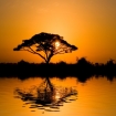 Bilde afrika | Afrika | Costasur