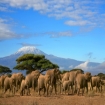 afrika | Afrika | Costasur