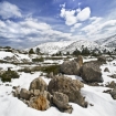 | Astun | Pyreneene