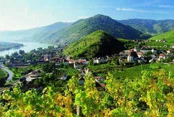 Weinberge der Wachau �sterreich
