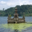 | Bali | Asia