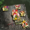 Bilde | Bali | Asia