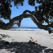 Foto bay of islands | Bay of Islands | Neuseeland