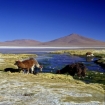 lateinamerika Bolivien