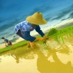 Bilde reiser kina | Kina | Asia