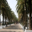 Cafes in El Puerto de Santa Maria