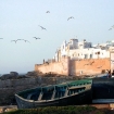 Bild regen | Essaouira