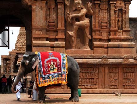 Bild indien | Indien