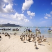 Bild karibik | Isla Margarita | Venezuela