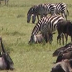 Bilde kenya | Kenya | Afrika