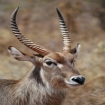 kenya | Kenya