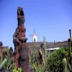 Bilde | Lanzarote | Kanariøyene