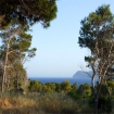 Der Campo bei Cala Ratjada
