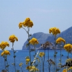 Die Bucht von Cala Ratjada