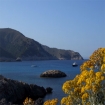 Traumhafte Bucht in Cala Ratjada
