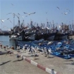 essaouira | Marrakesch | Marokko