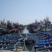 Bild essaouira | Marrakesch | Marokko