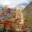 Die alte Festung