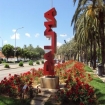Bild mountainbike | Palma de Mallorca