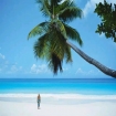 | Playa del Carmen