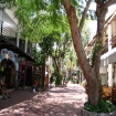 | Playa del Carmen | Riviera Maya