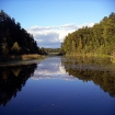 Bilde | Polen