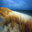 Bilde nudiststrand i | Polen | Europa