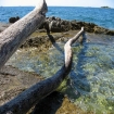 Bilde porec | Porec