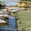 Bilde | Havner | Costasur