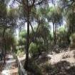 | Punta Umbria