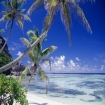 Foto seychellen | Seychellen