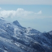 fauna | Sierra Nevada