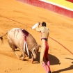 Bild stierk�mpfe | Tarifa