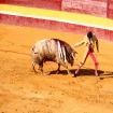 Bild stierk�mpfe | Tarifa | Provinz Cadiz