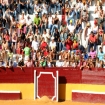 Andalusier beim Stierkampf