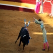 El Fandi in Tarifa