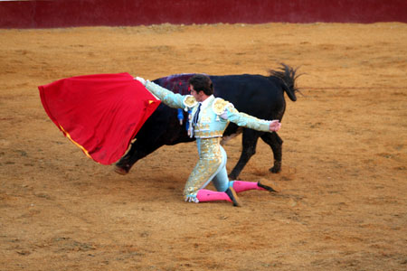 Bild stierk�mpfe | Tarifa | Provinz Cadiz
