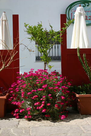 Bilde tarifa spania | Tarifa | Provinsen Cadiz