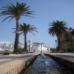 Bilde reiseguide tarifa | Tarifa