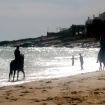 Foto reitschulen | Vilamoura | Algarve